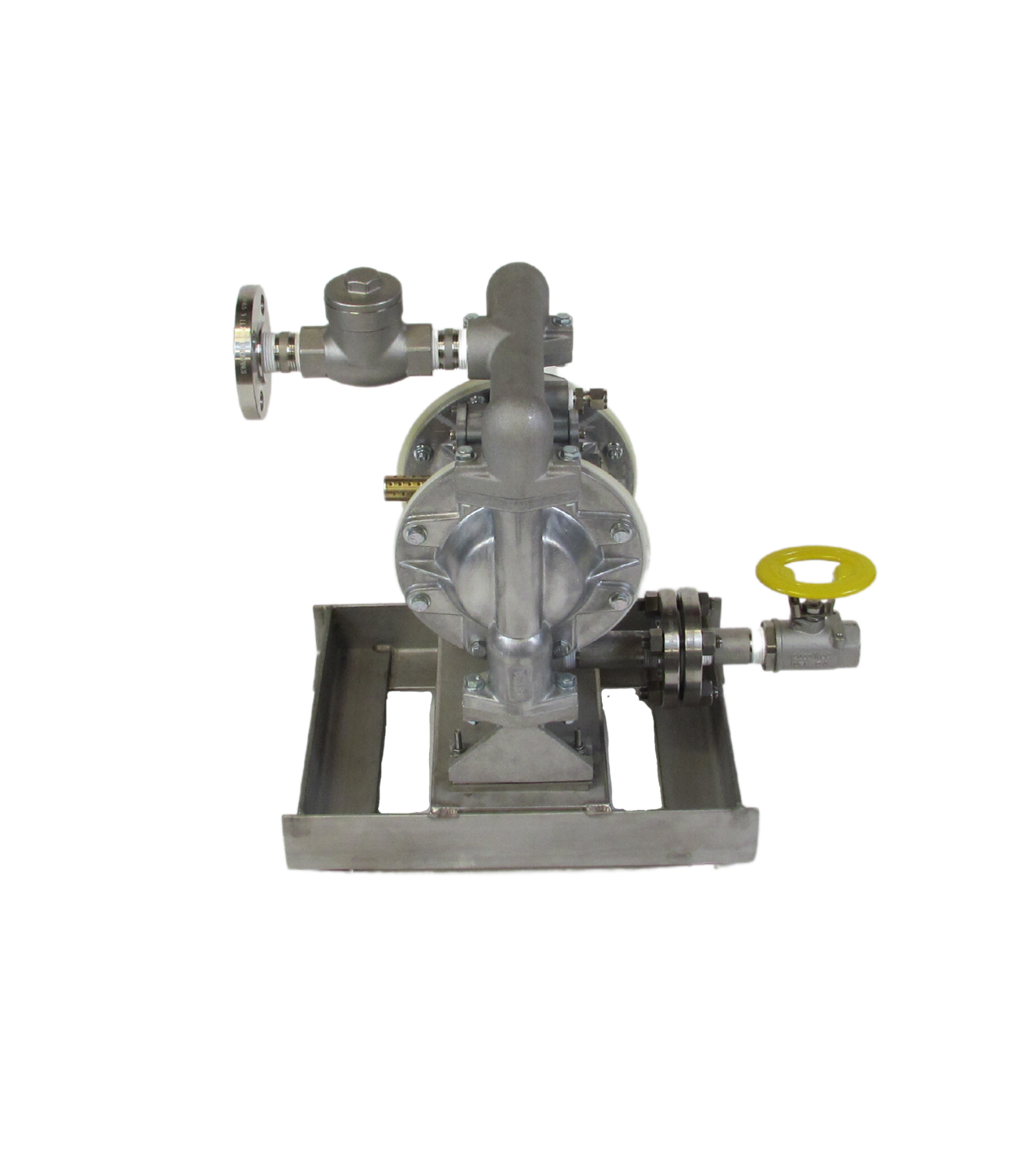 1” Diaphragm Pump Mounted on Medium Skid