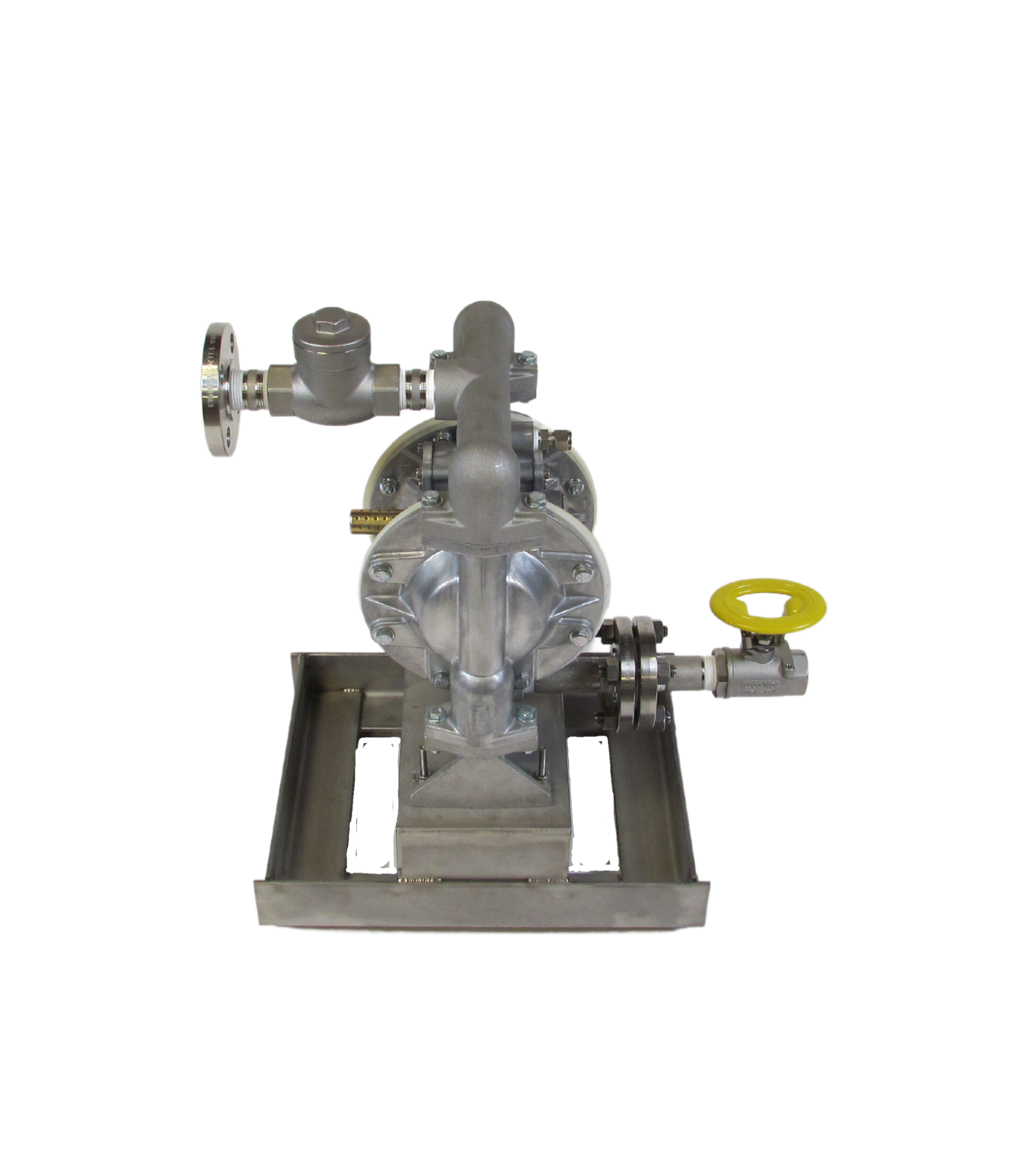 1” Diaphragm Pump Mounted on Short Skid