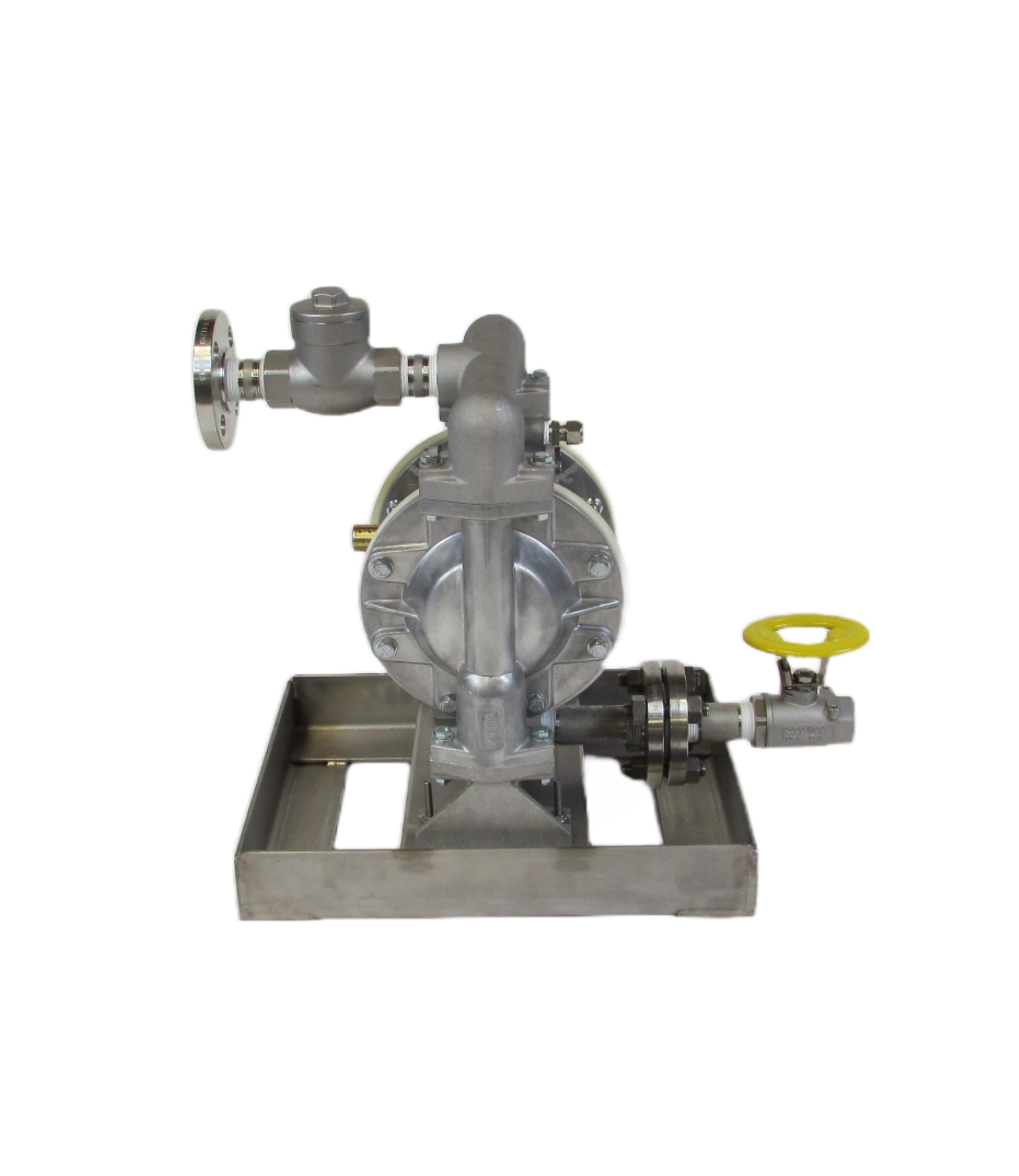 1” Diaphragm Pump Mounted on Tall Skid